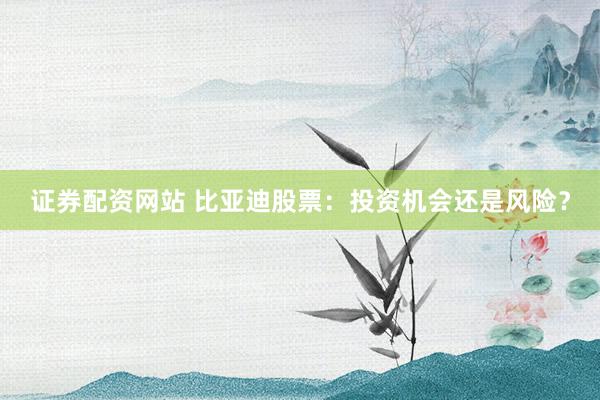 证券配资网站 比亚迪股票：投资机会还是风险？