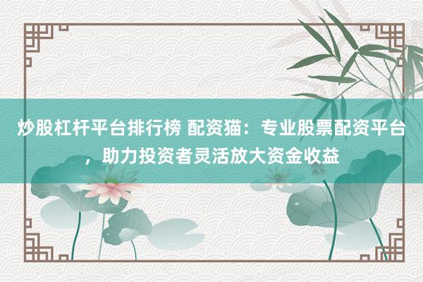 炒股杠杆平台排行榜 配资猫：专业股票配资平台，助力投资者灵活放大资金收益