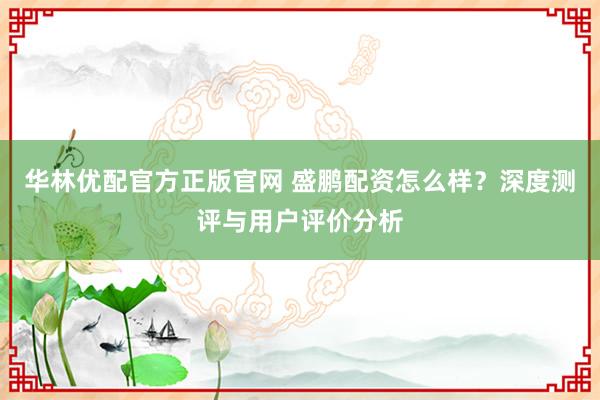 华林优配官方正版官网 盛鹏配资怎么样？深度测评与用户评价分析