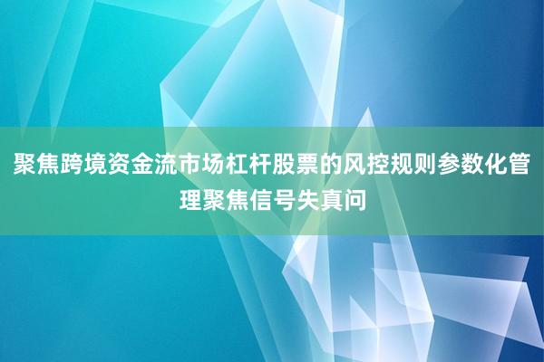 聚焦跨境资金流市场杠杆股票的风控规则参数化管理聚焦信号失真问