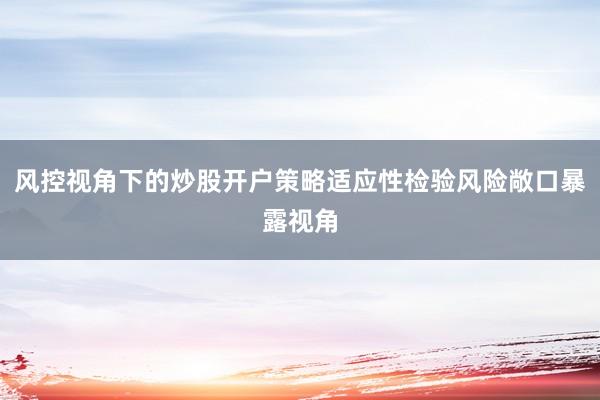 风控视角下的炒股开户策略适应性检验风险敞口暴露视角