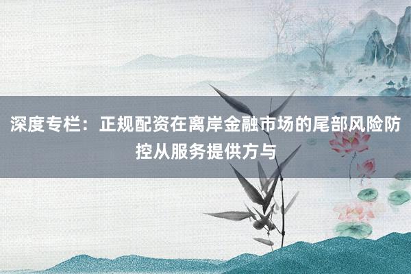 深度专栏：正规配资在离岸金融市场的尾部风险防控从服务提供方与