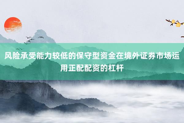 风险承受能力较低的保守型资金在境外证券市场运用正配配资的杠杆
