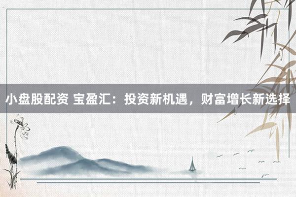 小盘股配资 宝盈汇：投资新机遇，财富增长新选择