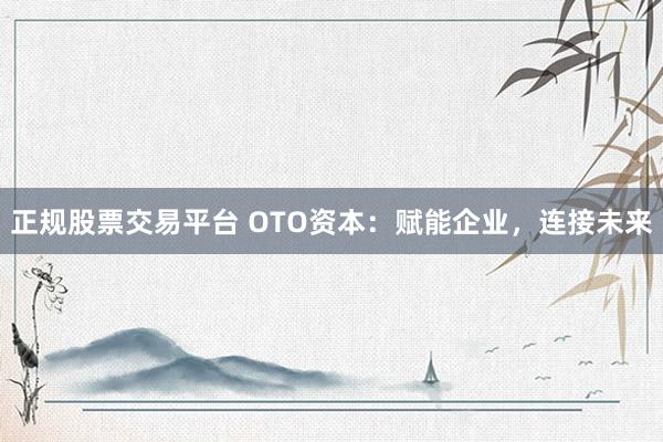正规股票交易平台 OTO资本：赋能企业，连接未来